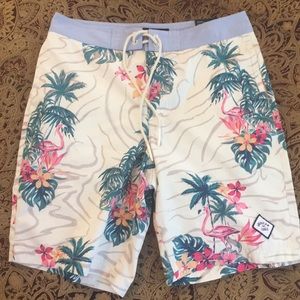American Eagle Swim Shorts